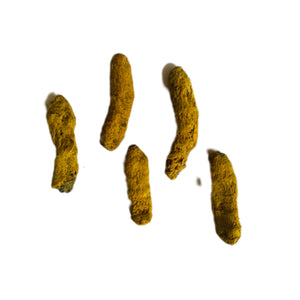 Yellow Haldi Gathi
