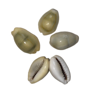 Complete Prosperity & Wealth Puja Kit